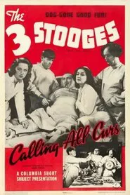 Calling All Curs movie poster