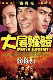 Poster do filme David Loman