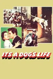 It's a Dog's Life movie poster