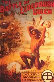Poster do filme The Battle at Elderbush Gulch