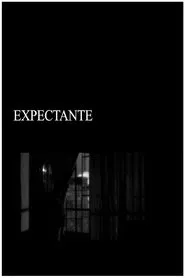 Expectant movie poster