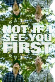 Poster do filme Not If I See You First