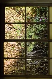 Poster do filme I Imagine a Text that Changes