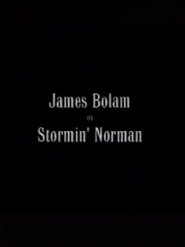 Stormin' Norman movie poster