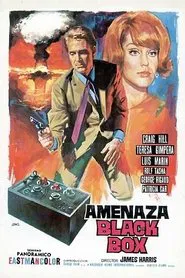 Black Box Affair movie poster