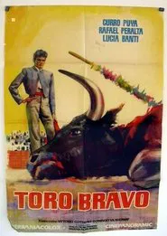 Toro bravo movie poster