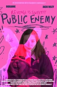 Public Enemy movie poster