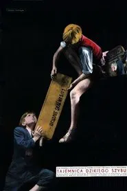 Poster do filme Tajemnica dzikiego szybu