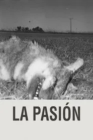 The Passion movie poster