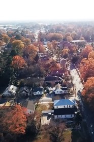Discreet Airlift movie poster