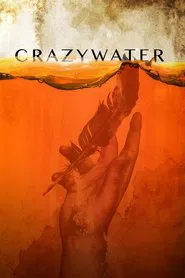 Poster do filme Crazywater