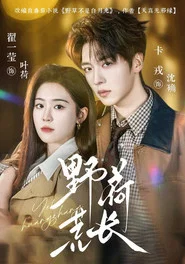 野荷荒长 tv show poster