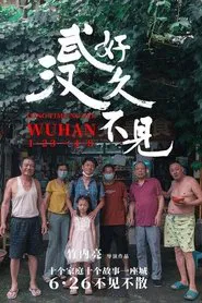 Long Time No See Wuhan movie poster