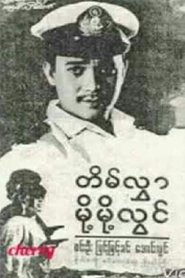 Tein Hlwar Moht Moht Lwin movie poster