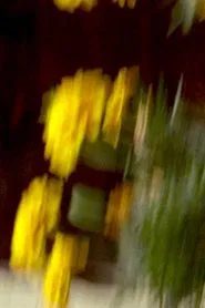 Poster do filme Garden Variety