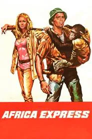 Africa Express movie poster