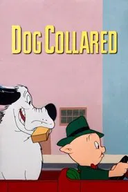 Dog Collared movie poster