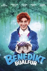 Benedikt búálfur movie poster