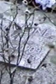 Simone Weil Avenue movie poster