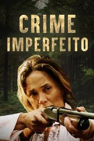 Poster do filme Crime Imperfeito