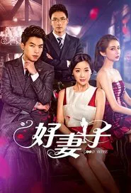 Good Wife tv show poster