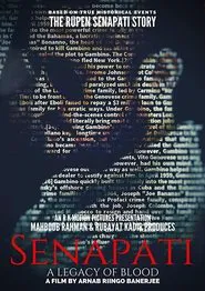Poster do filme Senapati