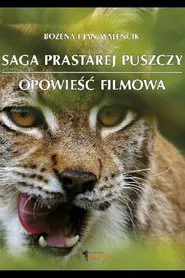 Saga Prastarej Puszczy tv show poster