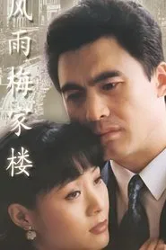 风雨梅家楼 tv show poster