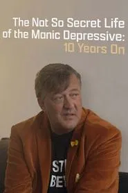 The Not So Secret Life of the Manic Depressive: 10 Years On movie poster