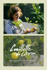 Cueillette du citron movie poster