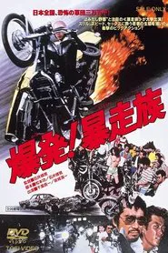 Detonation: Violent Riders movie poster