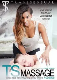 TS Massage 3 movie poster