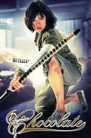 Poster do filme Chocolate