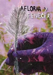 Emerge & Fade movie poster