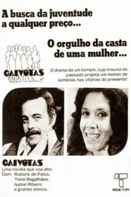 Poster da série Gaivotas