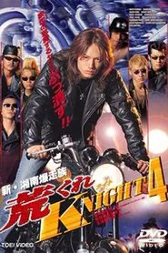 Poster do filme Rough KNIGHT 4