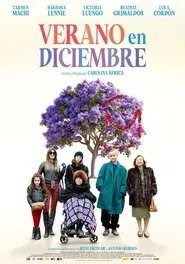 Verano en diciembre movie poster