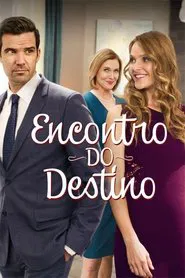 Poster do filme Encontro do Destino