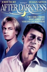 Poster do filme After Darkness