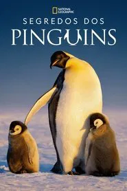 Poster da série Segredos dos Pinguins