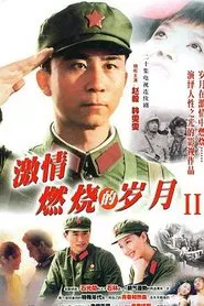 激情燃烧的岁月2 tv show poster