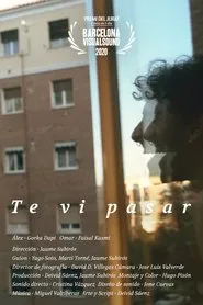 Te vi pasar movie poster
