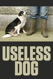 Poster do filme Useless Dog
