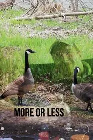More or Less movie poster