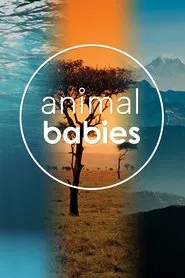 BBC Animal Babies tv show poster