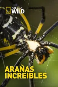 Incredible Spiders movie poster