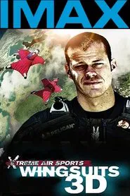 Wingsuit Warrior movie poster