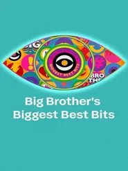 Big Brother's Biggest Best Bits movie poster
