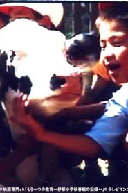 Lessons from a Calf movie poster