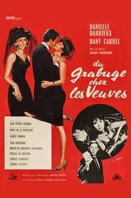 Trouble Among Widows movie poster
